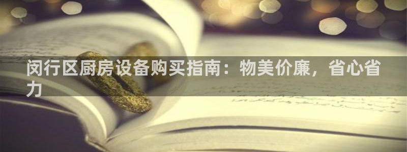 尊龙凯时存款多久到账：闵行区厨房设备购买指南：物美价廉，省心