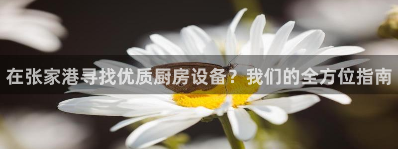 凯时官网app下载官方网站：在张家港寻找优质厨房设备？我们的